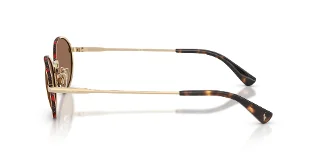 Polo Sunglasses PH3162
