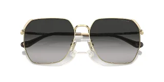 Coach Sunglasses HC7165D