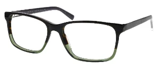 Steve Madden Eyeglasses NELTON