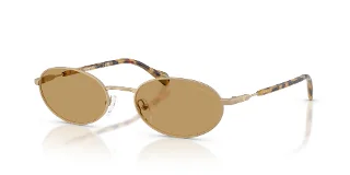 300273 Matte Pale Gold
