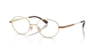 9005 Shiny Light Gold