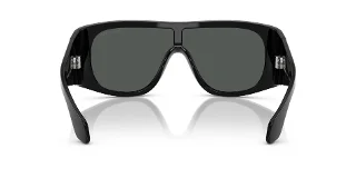 Giorgio Armani Sunglasses AR8222U