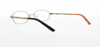 Polo Eyeglasses PP8017