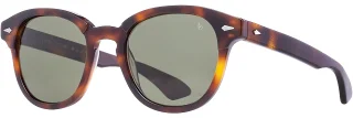 C04 Tortoise