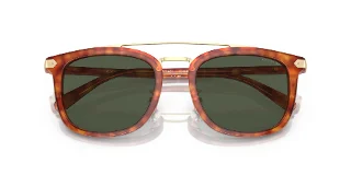 Coach Sunglasses HC8382