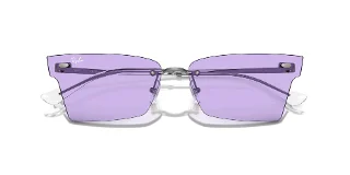 Ray Ban Sunglasses RB3730