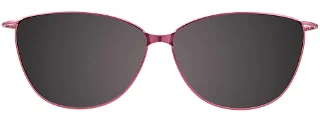 Easyclip Eyeglasses EC504
