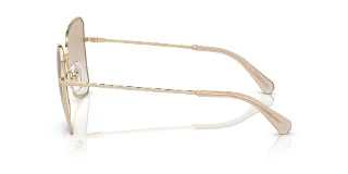 Swarovski Sunglasses SK7008