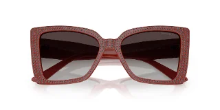 Jimmy Choo Eyeglasses JC5001B