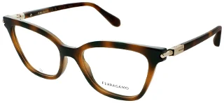 Salvatore Ferragamo Eyeglasses SF2991