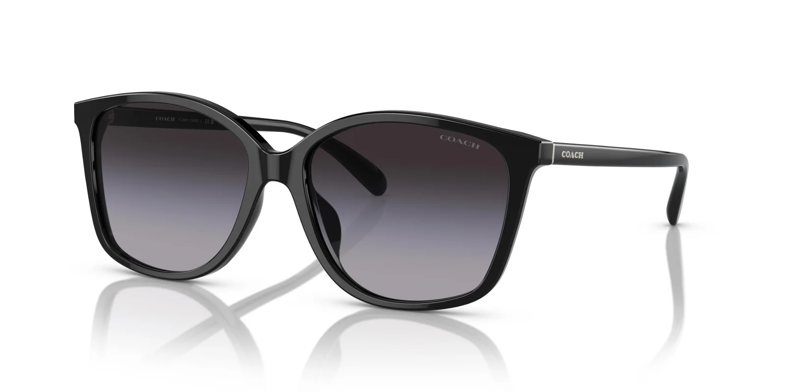 Coach Sunglasses HC8361U