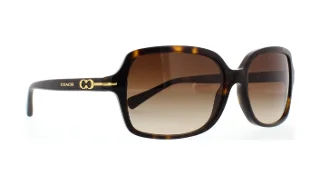 Coach Sunglasses HC8116 L087 Blair