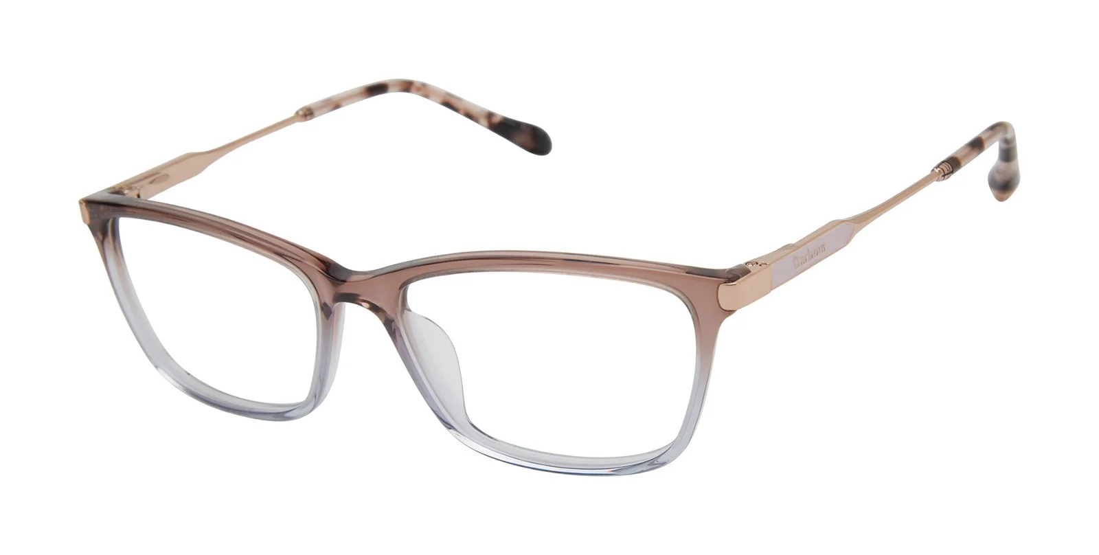 Barbour Eyeglasses BAOW013