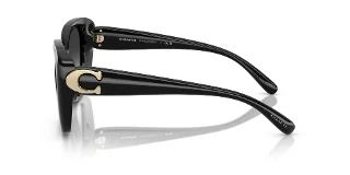 Coach Sunglasses HC8422U