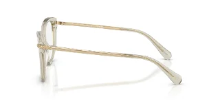 Swarovski Eyeglasses SK2044