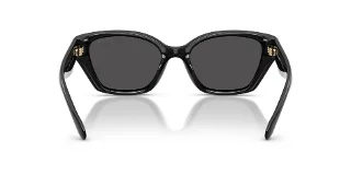 Coach Sunglasses HC8434U