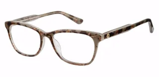 0FY6 Tortoise