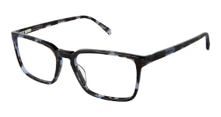 S401-Sf-632 Blue Tortoise