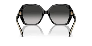 Coach Sunglasses HC8404U