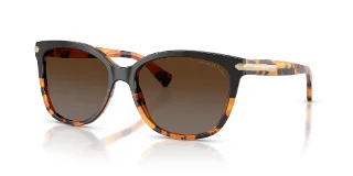 5438T5 Black Tortoise/Tortoise