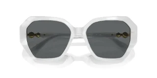Swarovski Sunglasses SK6017F