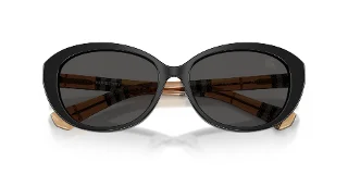 Burberry Sunglasses BE4507D