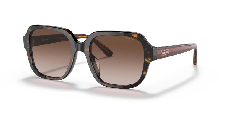 Coach Sunglasses HC8335U