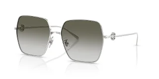 Tory Burch Sunglasses TY6118D