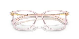 Ralph Eyeglasses RA7147