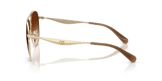 Coach Sunglasses HC7169