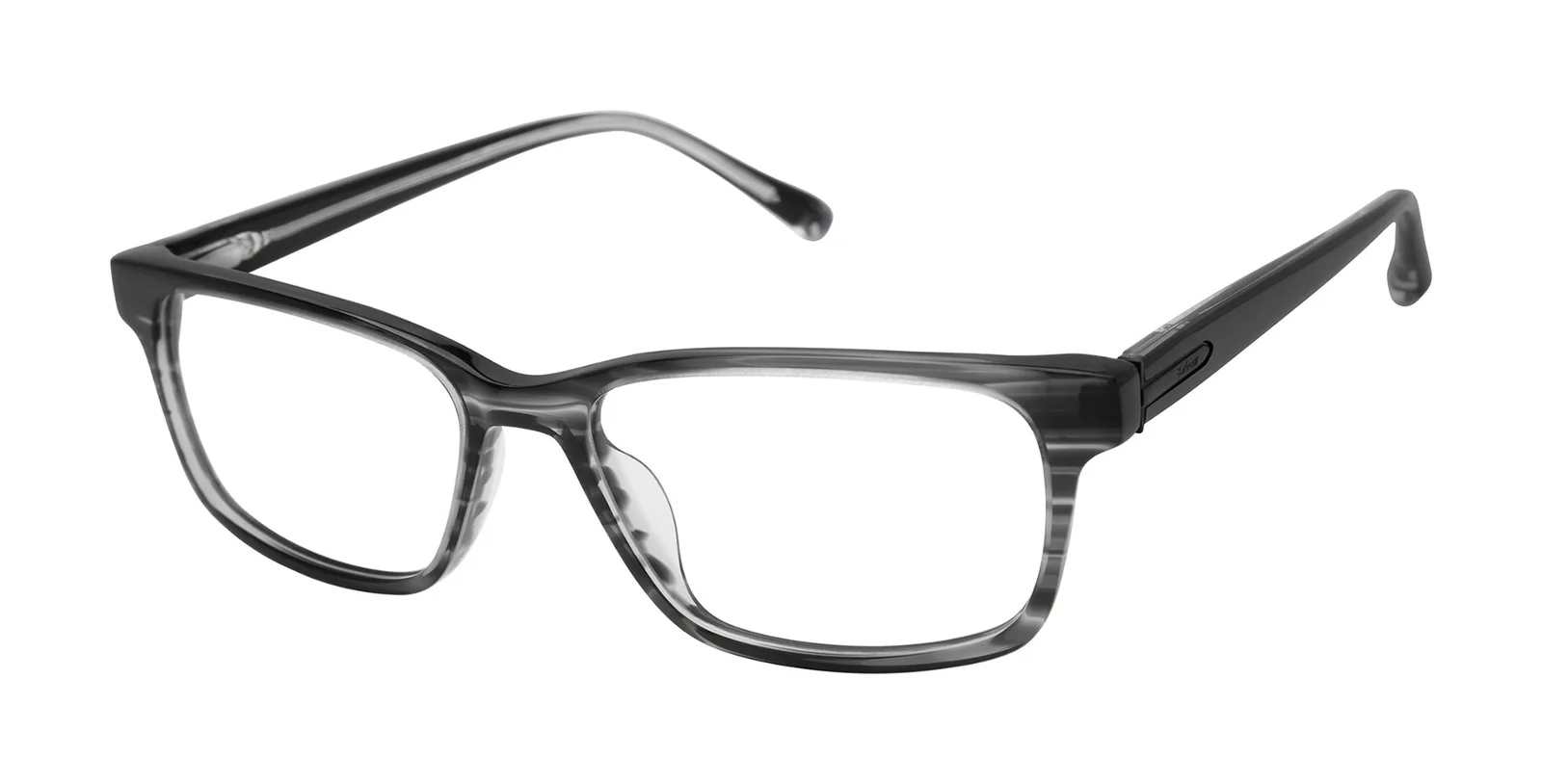 Barbour Eyeglasses BAOM010