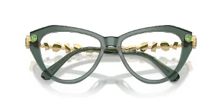 Swarovski Eyeglasses SK2047