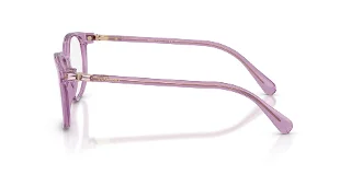 Swarovski Eyeglasses SK2002
