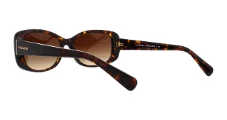 Coach Sunglasses HC8168 L156