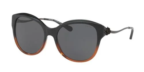 Coach Sunglasses HC8189