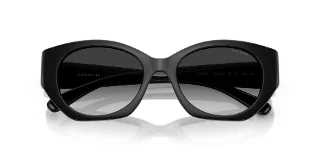Coach Sunglasses HC8407U