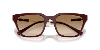 Armani Exchange Sunglasses AX4158SF