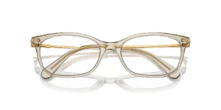 Swarovski Eyeglasses SK2017