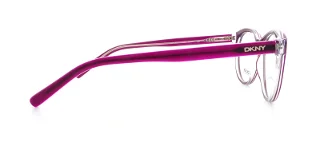 Dkny Eyeglasses DY4637