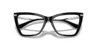 Jimmy Choo Eyeglasses JC3020B