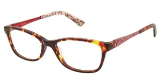 C01 Tortoise