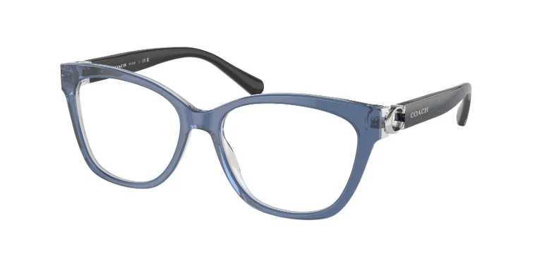 Coach Eyeglasses HC6120
