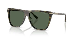 394771 Sage Tortoise
