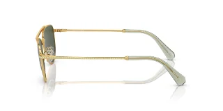 Swarovski Sunglasses SK7007