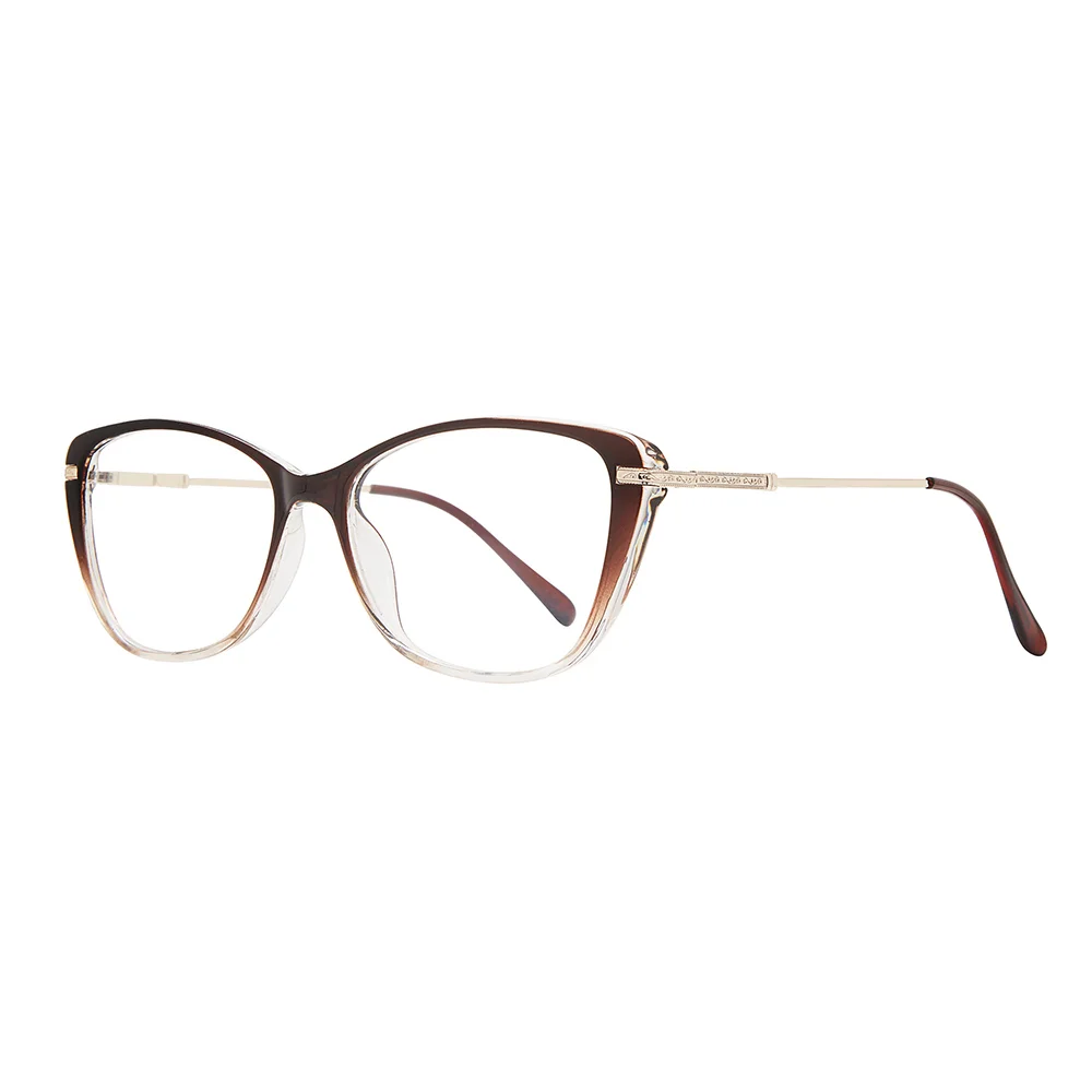 Stylewise Eyeglasses SW454