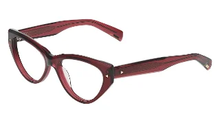 Avio Eyeglasses AOV2314