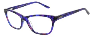Blue Multi Tortoise