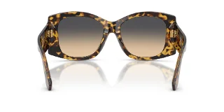 Dolce & Gabbana Sunglasses DG4501