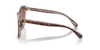 Coach Sunglasses HC8365U
