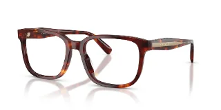 5938 Walnut Tortoise